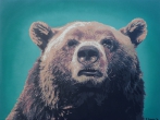 Brown Bear Encounters by David Grieves